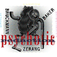 Baker/Bruckmann/Zerang: Psychotic Redaction (...