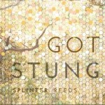 Splinter Reeds: Got Stung (2015)